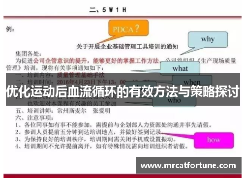 优化运动后血流循环的有效方法与策略探讨