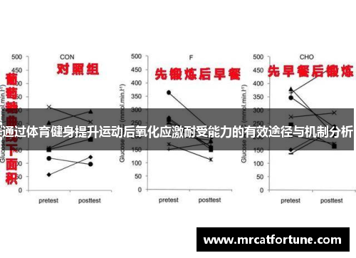 通过体育健身提升运动后氧化应激耐受能力的有效途径与机制分析