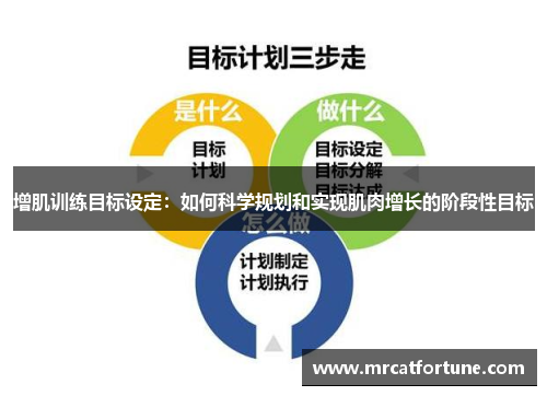 增肌训练目标设定：如何科学规划和实现肌肉增长的阶段性目标