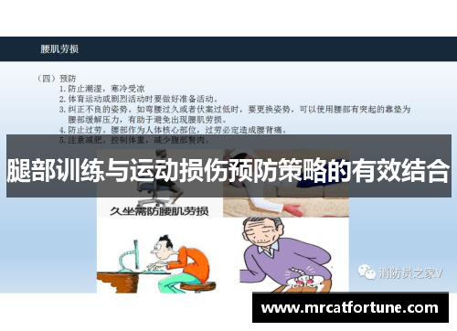 腿部训练与运动损伤预防策略的有效结合
