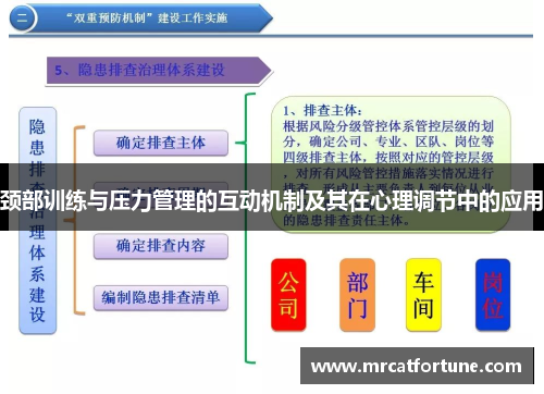 颈部训练与压力管理的互动机制及其在心理调节中的应用